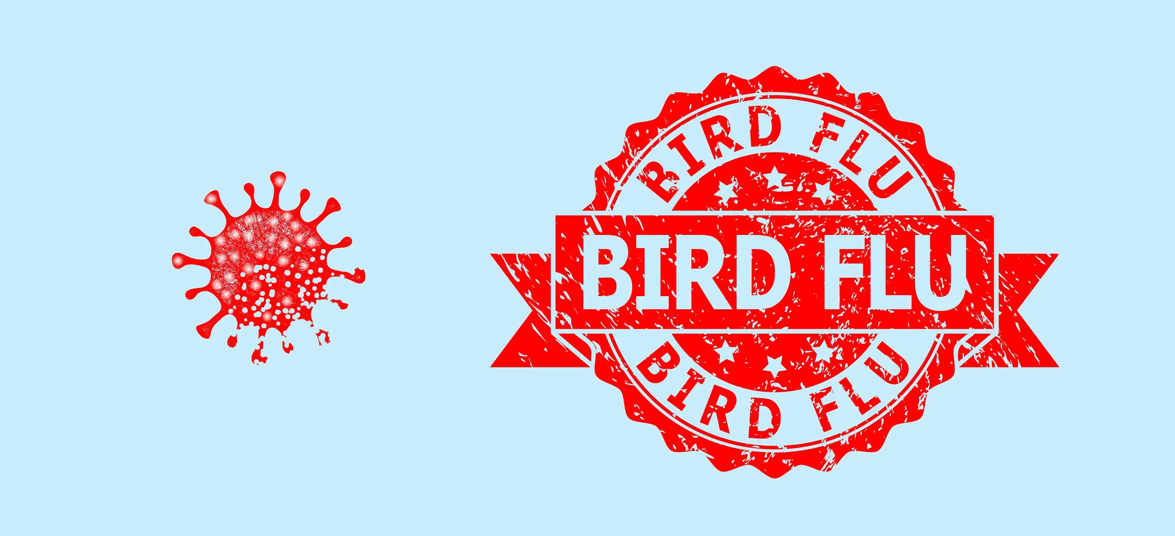 Bird Flu: Explained