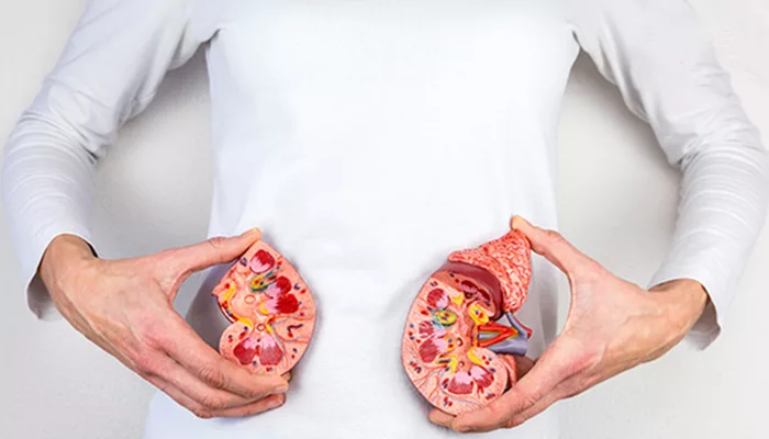 Effects of diabetes on kidney problems