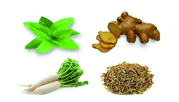Home Remedies for Piles from Expert