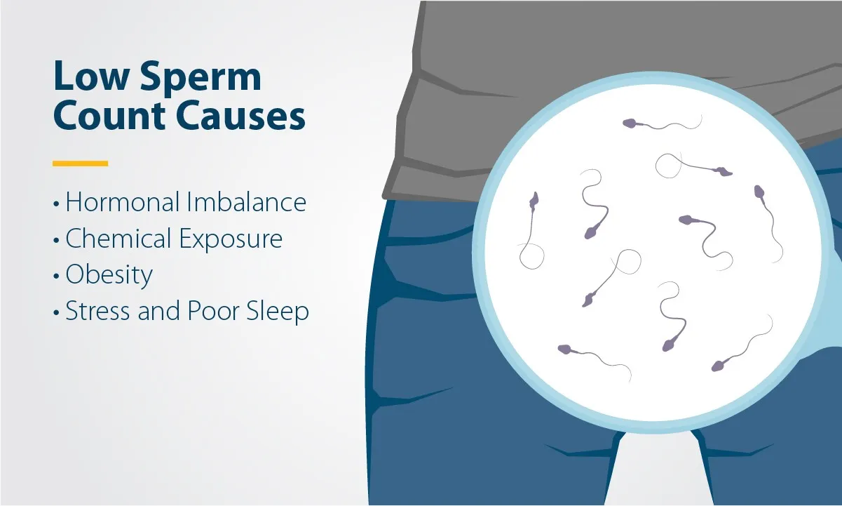 Low Sperm Count – Causes, Symptoms, Prevention, and Treatment 