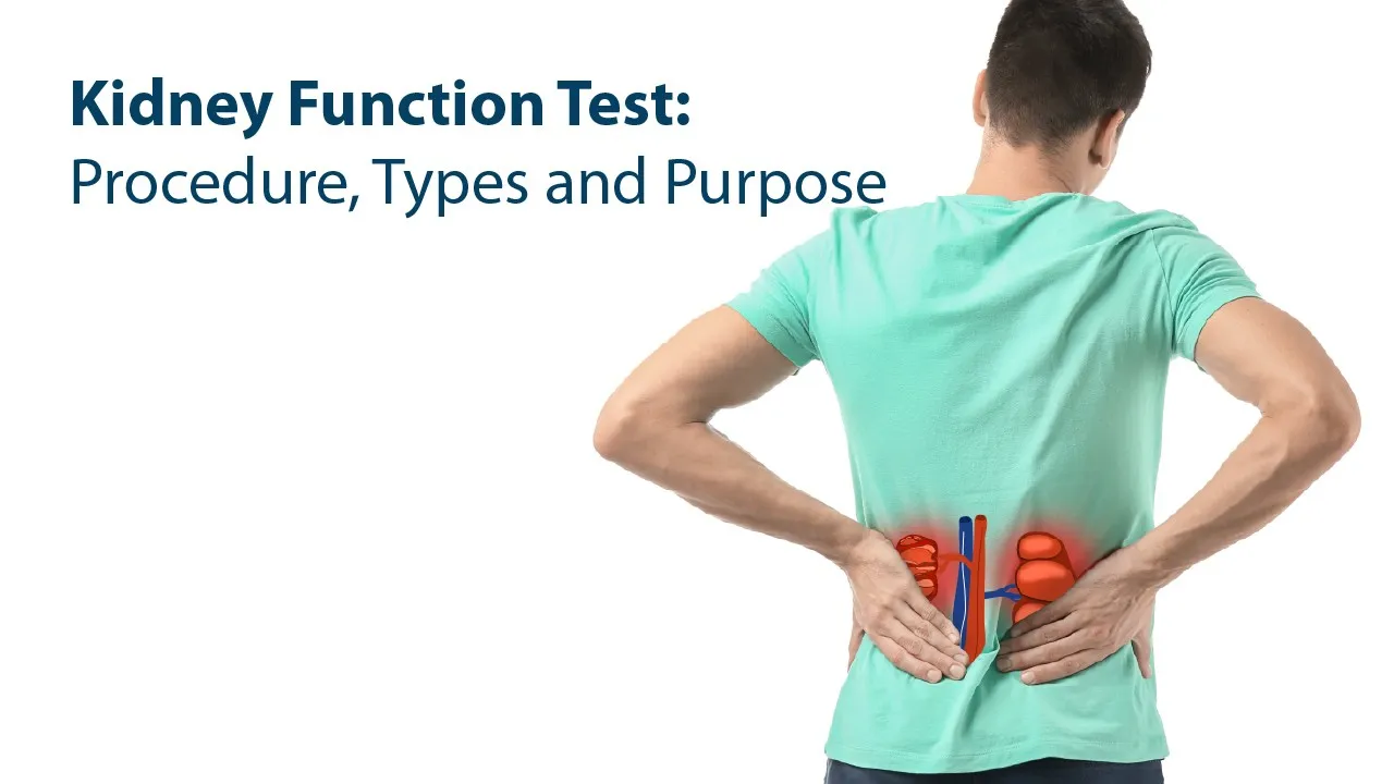 Kidney Function Test (KFT) Procedure, Types and Purpose