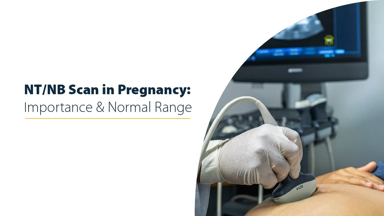 NT/NB Scan in Pregnancy: Importance & Normal Range