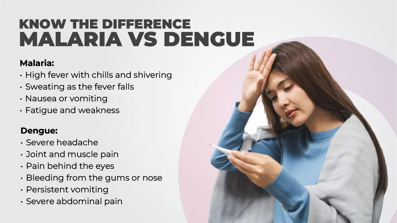 Malaria vs Dengue: Understanding the Differences, Symptoms and Prevention