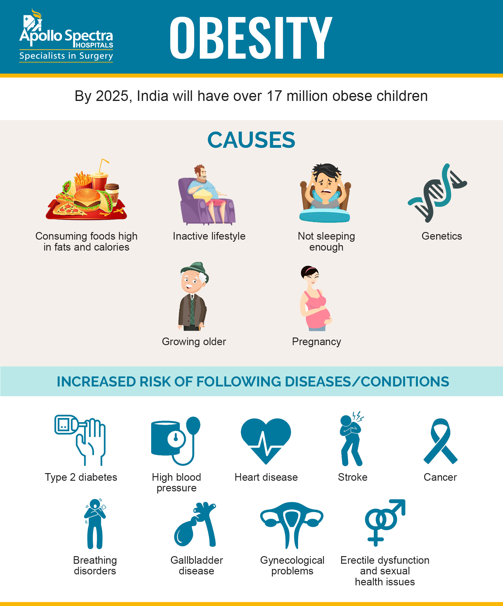 Causes Of Obesity